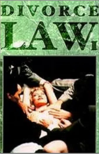 divorce law 1993 poster