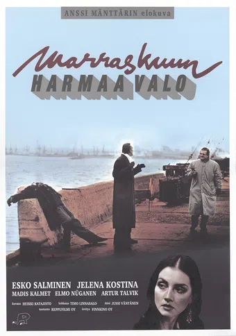 marraskuun harmaa valo 1993 poster