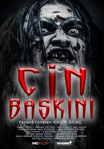 cin baskini 2020 poster