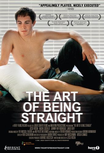 the art of being straight 2008 poster