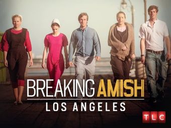 breaking amish: la 2013 poster