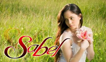 sabel 2010 poster