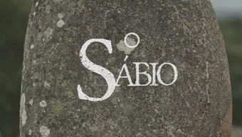 o sábio 2017 poster