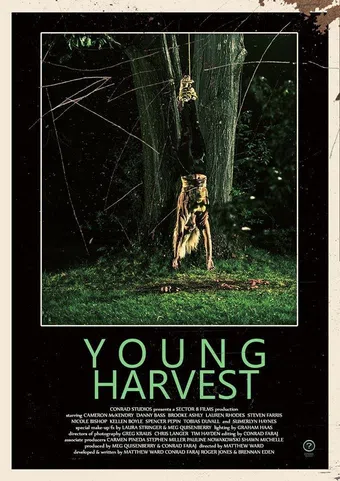 young harvest 2013 poster