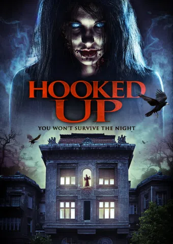 hooked up 2013 poster