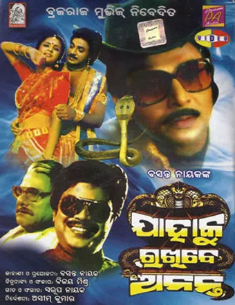 jahaku rakhibe ananta 1988 poster