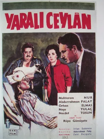 yarali ceylan 1963 poster