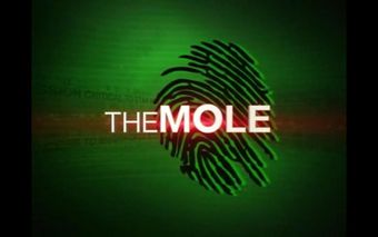 the mole 2000 poster