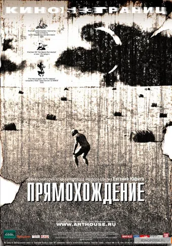 pryamokhozhdenie 2005 poster