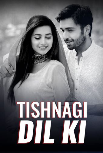 tishnagi dil ki 2017 poster