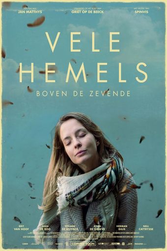 vele hemels 2017 poster