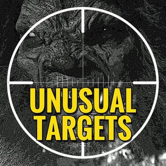 unusual targets 2014 poster