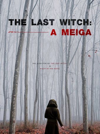 the last witch: a meiga poster