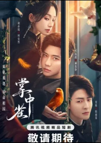 zhang zhong que 2025 poster