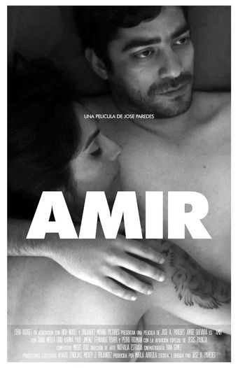 amir 2016 poster