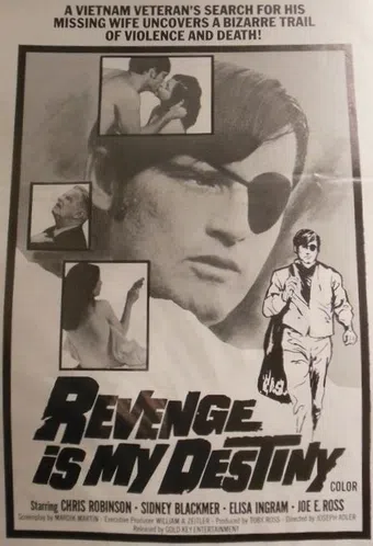 revenge is my destiny 1971 poster