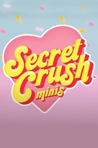 secret crush: crushin' it 2020 poster