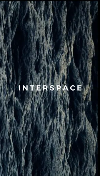 interspace poster