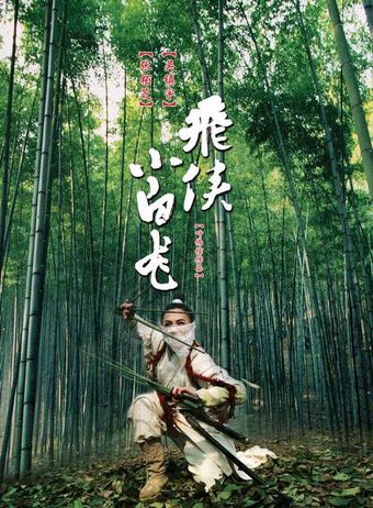 fei hap siu bak lung 2004 poster