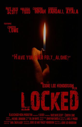 locked 2013 poster