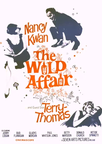 the wild affair 1965 poster