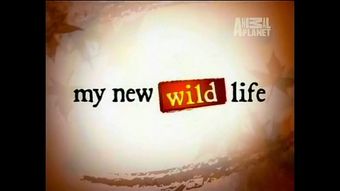 my new wild life 2008 poster