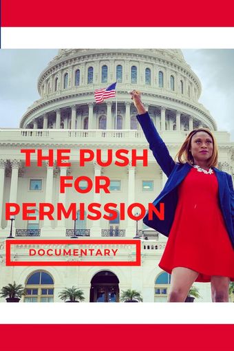 the push for permission poster