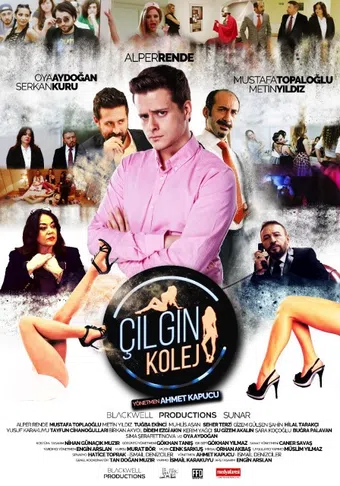 cilgin kolej 2017 poster