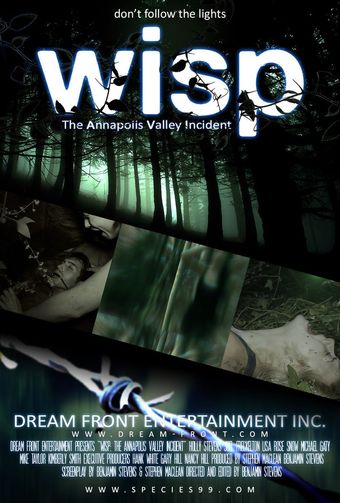 wisp 2013 poster