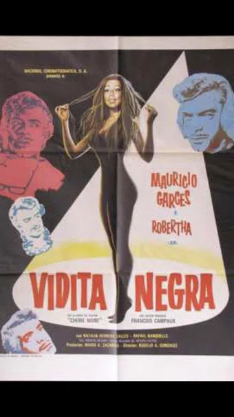 vidita negra 1973 poster