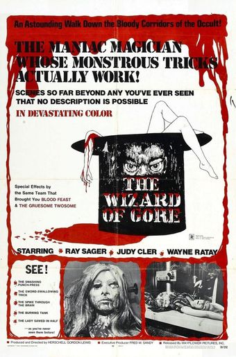 the wizard of gore 1970 poster