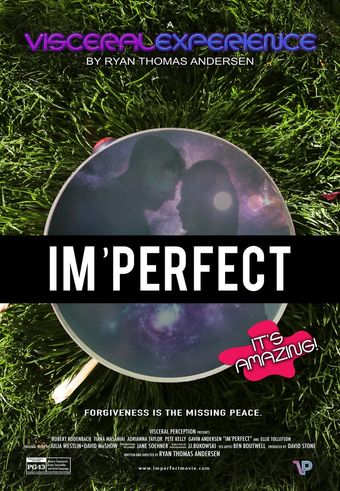 imperfect 2016 poster