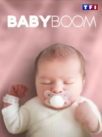 baby boom 2011 poster