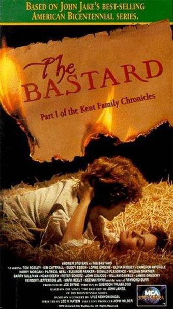 the bastard 1978 poster