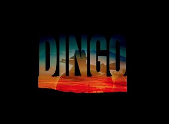 dingo poster