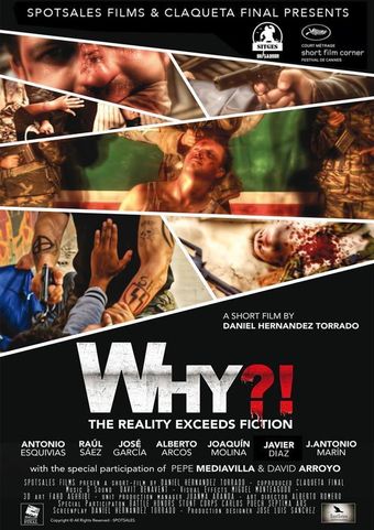 why?! 2015 poster