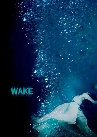 wake 2017 poster