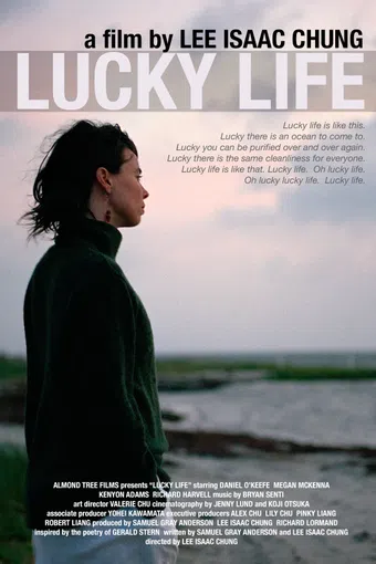 lucky life 2010 poster