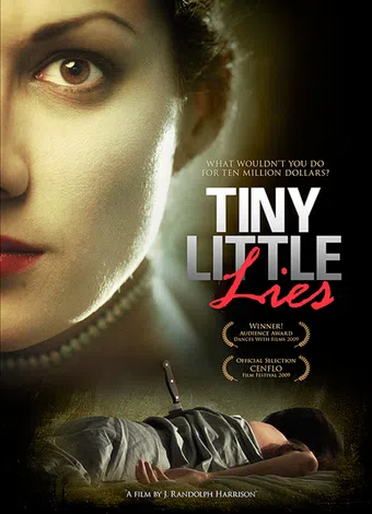 tiny little lies 2008 poster