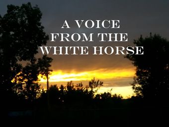 a voice from the white horse poster