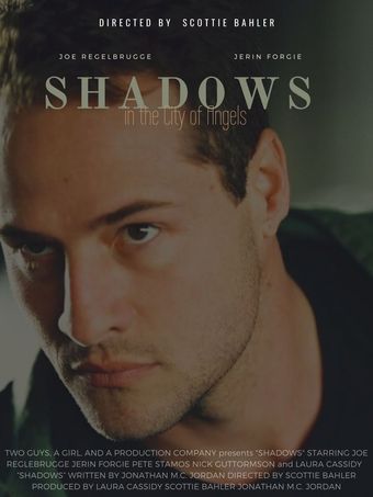 shadows 2010 poster