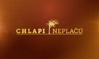 chlapi neplacu 2013 poster