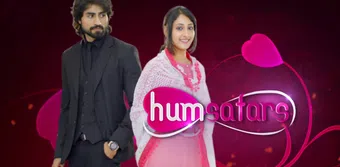 humsafars 2014 poster