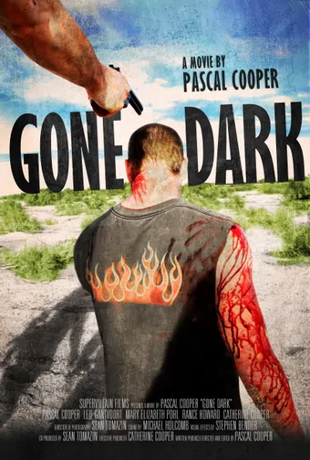 gone dark 2013 poster