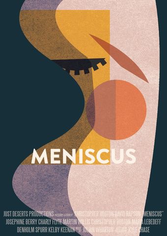 meniscus 2018 poster