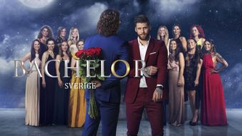 bachelor 2015 poster