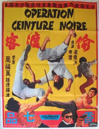 tou du ke 1973 poster