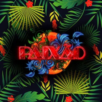 paixão 2017 poster