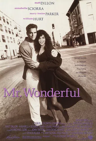 mr. wonderful 1993 poster