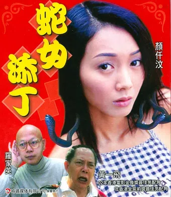 se lui tim ding 2003 poster